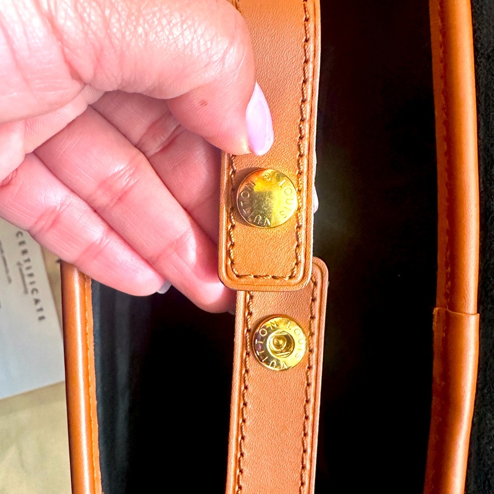 LV Dauphine Reverse Monogram Backpack - Picture 5 of 16